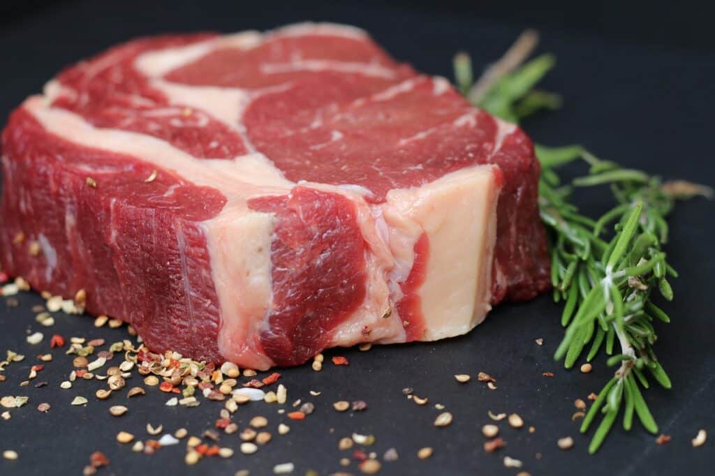 Tips for starting carnivore